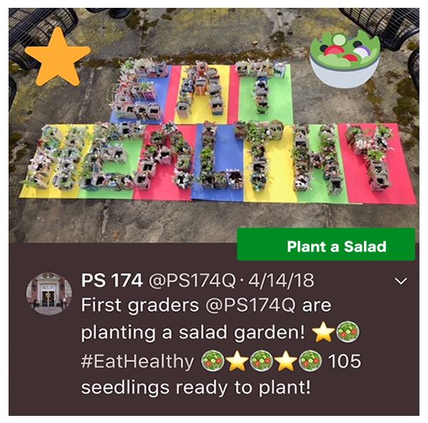 plant a salad